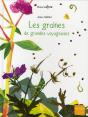 Les Graines, De Grandes Voyageuses - Preview