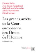 Les Grands Arrêts De La Cour Européenne Des Droits De L'Homme (5e Édition)