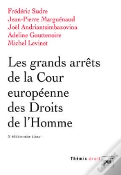Capa do artigo Les Grands Arrêts De La Cour Européenne Des Droits De L