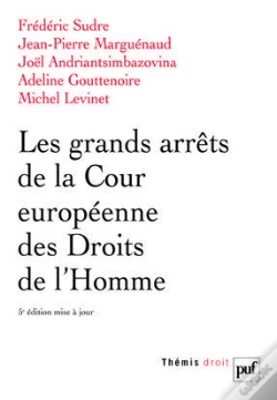 Capa do artigo Les Grands Arrêts De La Cour Européenne Des Droits De L'Homme (5e Édition)