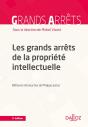 Les Grands Arrêts De La Propriété Intellectuelle - Preview