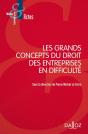 Les Grands Concepts Du Droit Des Entreprises En Difficulté - Preview
