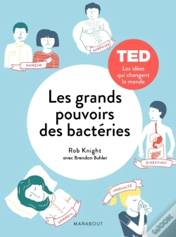Capa do artigo Les Grands Pouvoirs Des Petites Bacteries