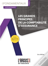 Les Grands Principes De La Comptabilité D'Assurance
