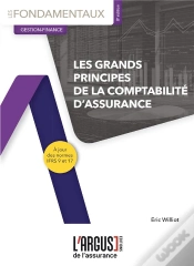 Capa do artigo Les Grands Principes De La Comptabilité D
