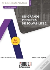 Les Grands Principes De Solvabilité 2