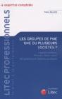 Les Groupes De Pme ; Une Ou Plusieurs Sociétés ? - Preview