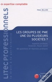 Capa do artigo Les Groupes De Pme ; Une Ou Plusieurs Sociétés ?