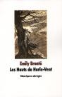 Les Hauts De Hurlevent - Preview