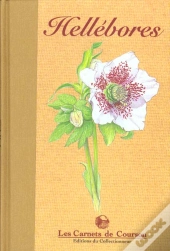 Les Hellebores