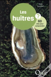 Capa do artigo Les Huitres En Questions