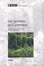 Les Ignames Au Cameroun - Preview