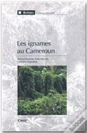 Les Ignames Au Cameroun