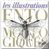 Les Illustrations Entomologiques
