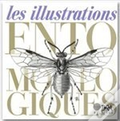 Capa do artigo Les Illustrations Entomologiques