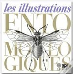 Capa do artigo Les Illustrations Entomologiques