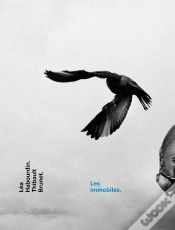 Capa do artigo Les Immobiles