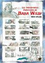 Les Incroyables Aventures De Baba Wildy - Preview