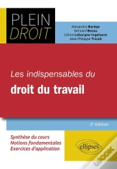 Les Indispensables Du Droit Du Travail (2e Édition)