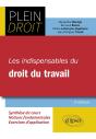 Les Indispensables Du Droit Du Travail (2e Édition) - Preview