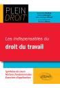 Les Indispensables Du Droit Du Travail - Preview