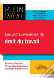 Capa do artigo Les Indispensables Du Droit Du Travail