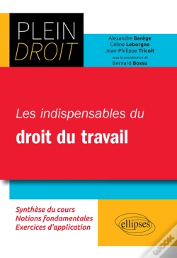 Capa do artigo Les Indispensables Du Droit Du Travail
