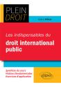 Les Indispensables Du Droit International Public - Preview