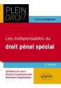 Les Indispensables Du Droit Pénal Spécial - Preview