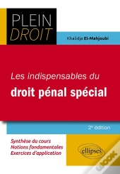 Les Indispensables Du Droit Pénal Spécial