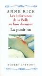 Les Infortunes De La Belle Au Bois Dormant T.2 ; La Punition - Preview