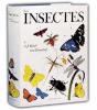 Les Insectes - Preview