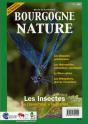 Les Insectes ; De L'Inventaire À La Gestion - Preview