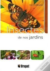 Les Insectes De Nos Jardins