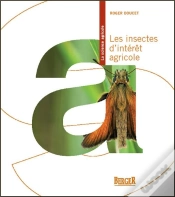 Capa do artigo Les Insectes D