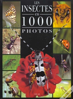 Capa do artigo Les Insectes En 1000 Photos