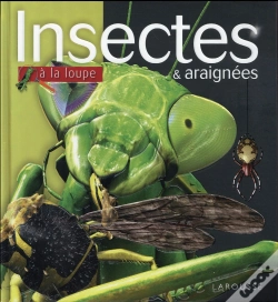 Capa do artigo Les Insectes Et Araignees Np