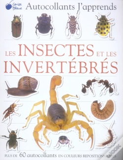 Capa do artigo Les Insectes Et Les Invertébrés
