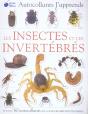 Les Insectes Et Les Invertébrés - Preview