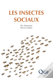 Capa do artigo Les Insectes Sociaux