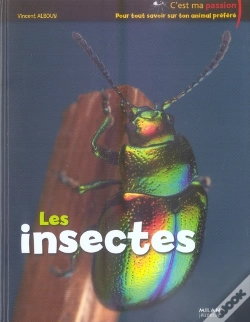 Capa do artigo Les Insectes