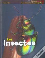 Capa do artigo Les Insectes