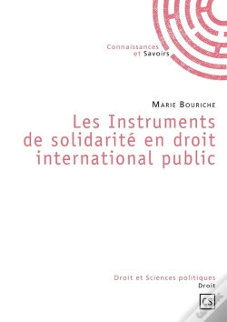 Capa do artigo Les Instruments De Solidarité En Droit International Public
