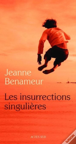 Capa do artigo Les Insurrections Singulières