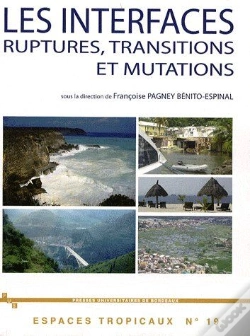 Capa do artigo Les Interfaces ; Ruptures, Transitions Et Mutations