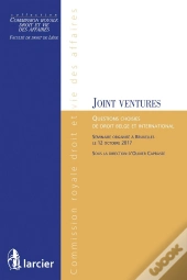 Les Joint Ventures