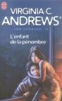 Les Jumeaux T.3 ; L'Enfant De La Pénombre - Preview