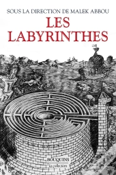 Les Labyrinthes : Vingt Mille Ans De Métamorphoses