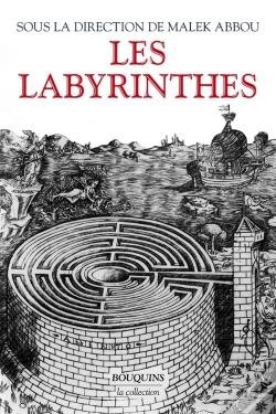 Capa do artigo Les Labyrinthes : Vingt Mille Ans De Métamorphoses