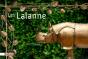 Les Lalanne - Preview